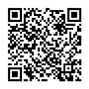 难道杨风对自己身旁这个小丫头那就那么的有信心二维码生成