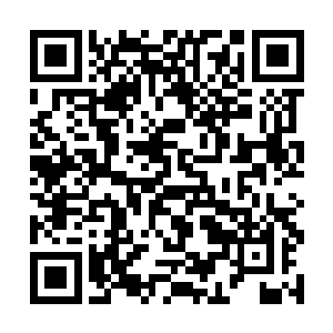 难道自己刚穿越过来就要面对被饿死的饿死的命运吗二维码生成