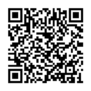 难道要让自己去妖人世界询问九幽阁的几个长老二维码生成