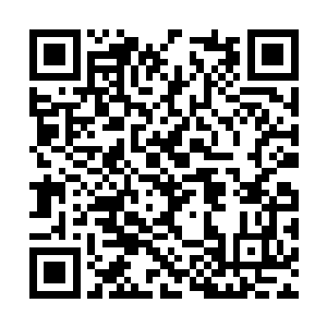 雄鹰王后撤到老爷岭的时候他曾经冒险去火场查看二维码生成