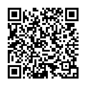 雨果和莱昂纳多两个人都差点没有绷住就要哈哈大笑起来二维码生成