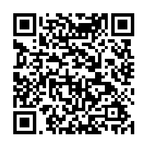 雷天一下子就看到了八级妖狂身体中妖元力的运转路线二维码生成