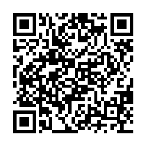 雷天一份灵药都没有浪费的炼制出这么多的十足丹来二维码生成