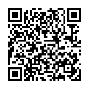 雷天只觉得自己的双手上传来一股极为强大的力量二维码生成