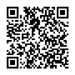 雷天和凤凰都感受到了周围有一道道强大的气势冲天而起二维码生成