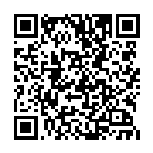 雷天猜想天罗圣境的这座大山上肯定还有第八层二维码生成