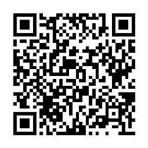 雷天突然就想到了在他和凤凰第一次见面的时候二维码生成