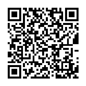 雷林也曾经在黑骨林学院的图书馆里面见到过净化塔的设计图二维码生成