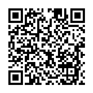 雷林除了一个叫做沃诺的人名和迪伦花园这个地方之外二维码生成