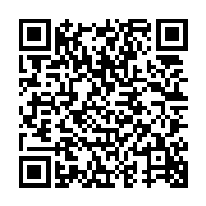 雷欢喜怎么都不会猜到这两条金龙鱼其实是在帮小胖做清洁工作二维码生成