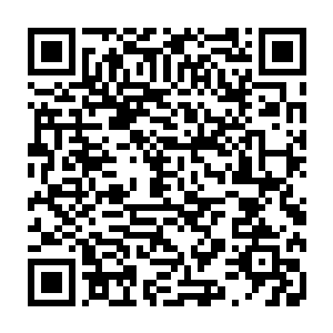 雷欢喜沉浸在了龙的世界里……他根本不知道此时的自己正在做点什么……二维码生成