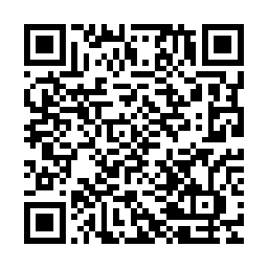 需要运用迷踪步需要两次偷袭黑僵才可以解决黑僵费时费力之外二维码生成