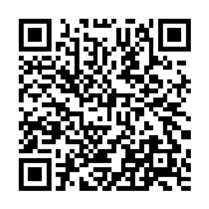 霍姆茨尼佣兵团的特点决定了他们基本上没有独自作战的能力二维码生成