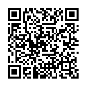 霍青云和毛永钢还有李飘雪在商议着巨龙的分配二维码生成