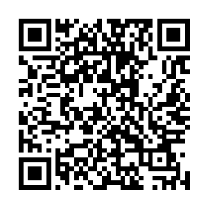 霸王也分配到三个死去剑王的空间戒指与二十粒上品真元果二维码生成
