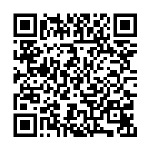 青天白日的你当这园子中的侍卫护卫全是白痴啊二维码生成