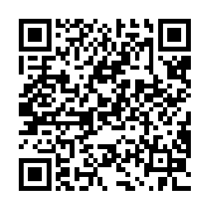 青源凤凰的涅槃优点是生机调整可以完全匹配自己道侣二维码生成