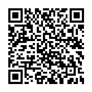 青灵无法想象他们接下来会面对什么样子的战斗二维码生成