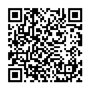 青玉灵城的一切事物都交给彩蝶跟禾星夫妻两负责二维码生成