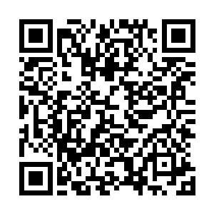青翠的梧桐树便仿佛在风沙满天的北方停留了数年时间之久二维码生成