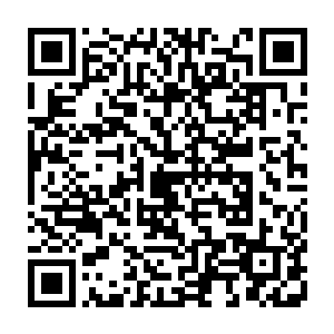 青藤六院的教习学生以及各州郡书院的学生快速地投入到学习与修行之中二维码生成