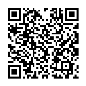 青龙白虎身上的防御光罩仅仅支撑了三呼吸就咔嚓破碎二维码生成
