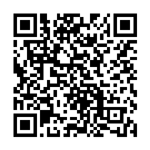 靠近过去还有一些黑色的爬虫从他的身体之中爬出来二维码生成