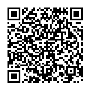 面前坐着的是湾流飞机的销售总监费恩-格里斯笑容满面地坐在张东城的面前二维码生成