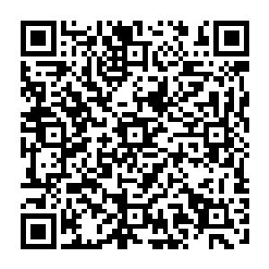 面对着这和真凤之蛋有关系甚至很有可能就是真凤后代的黑色小鸟恐怕都会动了私心二维码生成
