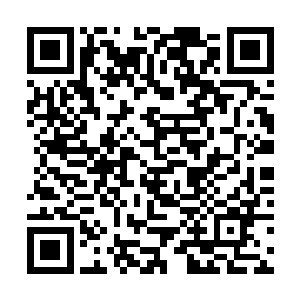 面无表情低垂下眼睑重新把目光回到案桌上的文件上二维码生成