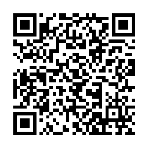 面色难看的韩小虎等人真真如同被孤立起来的可怜虫二维码生成