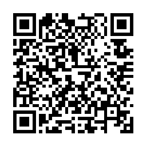 革新派修仙者不得不发动中下层乃至普通人的力量二维码生成