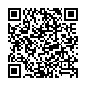 韩京京望着王世子一本正经的苦恼模样彻底被逗乐了二维码生成