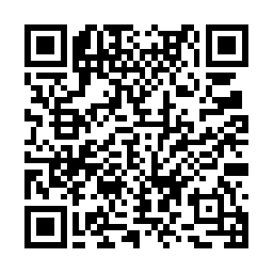 韩子峰的那种树叶是巫蛊门和茅山派所特有的东西二维码生成