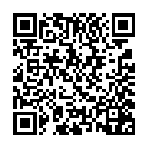 韩振庆闻言气得差点想直接通过电磁波揍韩振林一顿二维码生成
