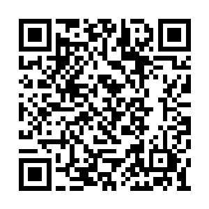 顶多让夭华日后都不再对那么小的孩子出手而已二维码生成