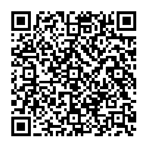项家军的大老爷们终于明白了为何当初季疏云的红方新兵回来的时候会是这般惨兮兮二维码生成
