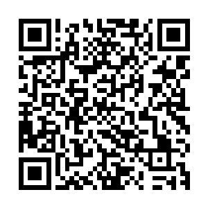 项目组将会严格按照之前杨利伟代表政府和他们签订的合同办事二维码生成