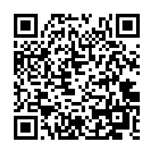 项链下方是来自香奈儿手工订做的无肩白色晚礼裙二维码生成