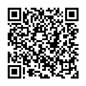 顺着江帆的精神意念力轨迹路线直接袭击了江帆的元神二维码生成