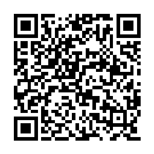 顺道的苗毅自然请了战大统领到守城宫小坐喝茶二维码生成