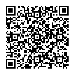 须臾便是在庞大龙身区域外围百米远的地方形成了一个不大规则但是类似长方体的剑阵二维码生成