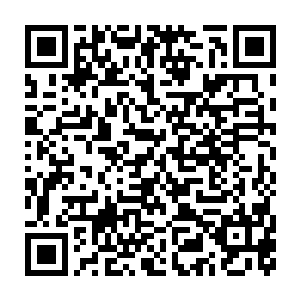 顿时一道道蕴含着强烈生命气息的绿芒也开始从丛林的四面八方涌来二维码生成