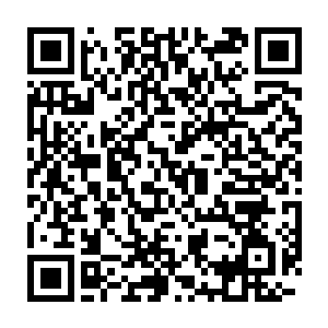 预示的信息化浪潮似乎也预示着信息软件产业正在步入蓬勃发展的阶段二维码生成