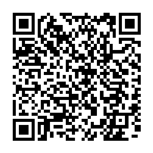 领头的是玄学会的前任会长任正新还有范老以及秦宇的师兄包老和他的几位徒弟二维码生成