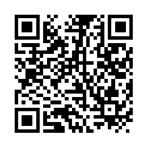 领着李正阳徐康远李秀珍和房主一行人下楼二维码生成