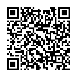 颇有些羡慕青帝五莲那样真正可以圣心独裁的强大二维码生成