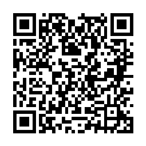 风天翔可以瞬间解决这伙人当然也能瞬间解决他们二维码生成