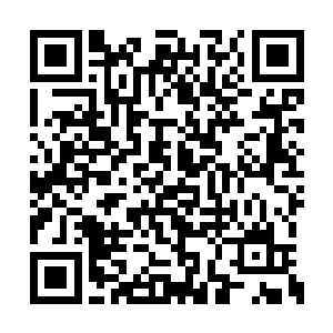 风奇泽顺手一剑把这个尸体的手臂给砍断了下来二维码生成