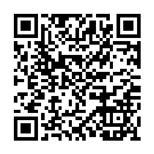 飞身落在邬梦兰身边的庞让缓缓回头看向邬梦兰二维码生成